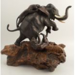 A bronze model, of an elephant being attacked by two tigers, on a wooden root base, height 16ins