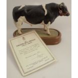 A Royal Worcester limited edition figure, Friesian Bull, modelled by Doris Lindner, with plinth