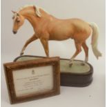 A Royal Worcester limited edition figure, Palomino Stallion, modelled by Doris Lindner, with