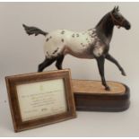 A Royal Worcester limited edition figure, Appaloosa Stallion, modelled by Doris Lindner, with plinth