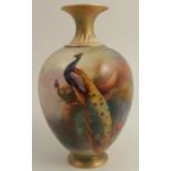 A Royal Worcester vase, decorated with a peacocks in pine trees, shape number H302, height 7ins -