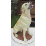 A limited edition Royal Worcester model, Yellow Labrador, modelled by Ken Potts - Good condition