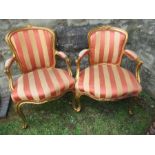 Two similar continental gilt open armchairs