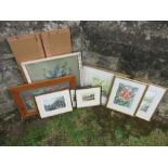 A collection of 19th century and later prints, including Maile, Vernon Ward, etc.