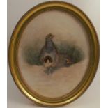 J Stinton, oval watercolour, two grouse, maximum diameter 9.5ins