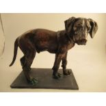 Sally Arnup, a bronze model of a young Pointer puppy, unsigned, width 17.5ins x height 14ins