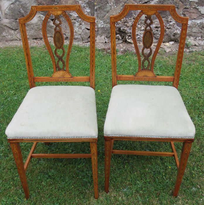 A pair of satinwood bedroom chairs, in the Sheraton revival style, decorated with shells and leaves