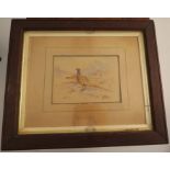 Jas Stinton, watercolour, cock and hen pheasant, in landscape, 4.5ins x 6ins