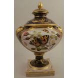 A 19th century Derby porcelain covered pedestal vase, decorated with reserves of butterflies and