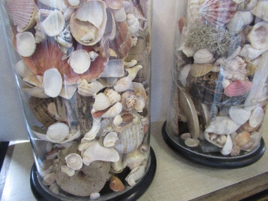 Two glass domes, filled with seashells, af, height 17ins, one af - Image 3 of 4