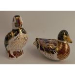Two Royal Crown Derby paperweights, Puffin and a Mallard duck, both with stoppers - no obvious signs
