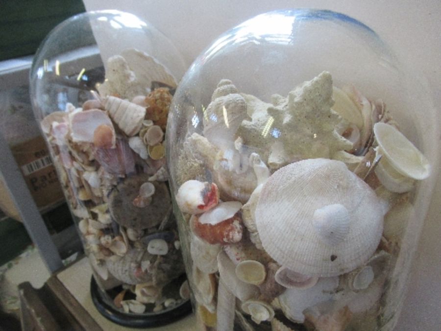 Two glass domes, filled with seashells, af, height 17ins, one af - Image 4 of 4