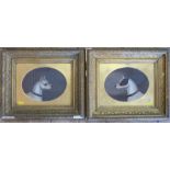 A pair of 19th century oil on board, oval portraits of dogs, maximum diameter 8.5ins