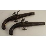A pair of Antique flint lock pistols, with brass barrels, length 12.5ins