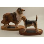 Two Beswick Connoisseur models, Beagle and Collie (Rough), both on wooden bases