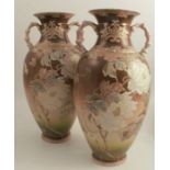 A pair of 20th century Oriental vase, decorated with flowers and insects to a brown ground, with