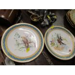 Two 19th century plates, decorated with birds and insects to a jewelled and turquoise border -