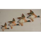 A graduated set of four Beswick flying ducks - All the ducks are in good condition, no chips, cracks