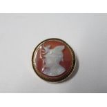 A hardstone cameo brooch, carved as a classical warrior with a winged dragon to his helmet, 2.5cm