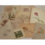 A quantity of sketches by the Royal Worcester Porcelain artist George Johnson. George Brownell