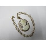 A shell cameo pendant, in a 9 carat gold mount, on a chain, 11.5g gross
