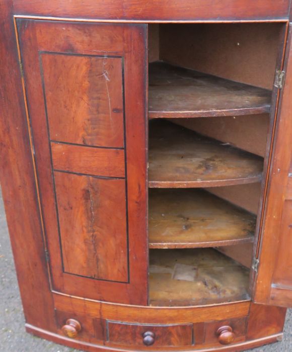 A 19th century mahogany barrel fronted corner cabinet, fitted with a pair of doors revealing shelves - Image 2 of 4