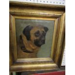 Oil on canvas, indistinctly signed, portrait of dog's head, 9.5ins x 8.5ins