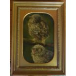 Possibly C H C Baldwyn, oil on canvas laid on board, owl chicks, 14.5ins x 9ins