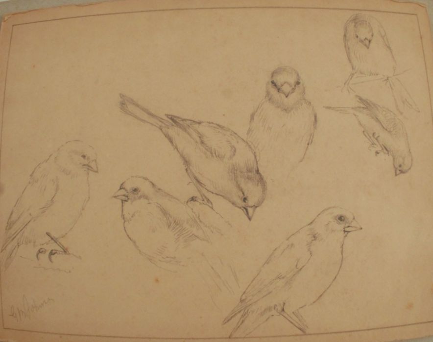 10 sketches by the Royal Worcester Porcelain artist George Johnson. George Brownell Johnson was born - Image 3 of 5