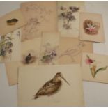 10 sketches by the Royal Worcester Porcelain artist George Johnson. George Brownell Johnson was born