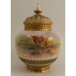 A Royal Worcester crown top pot pourri, the front decorated with Highland cattle in landscape by