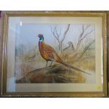 Paul A Nicholas, two watercolours, Pheasants and Green Woodpeckers, 15ins x 21ins and 14.5ins x