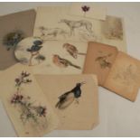 10 sketches by the Royal Worcester Porcelain artist George Johnson. George Brownell Johnson was born