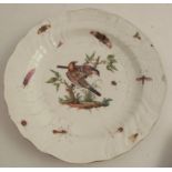 A 19th century continental plate, of moulded circular form, decorated with birds and insects,