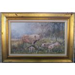 A modern picture, pig in a field, 13.5ins x 23.5ins