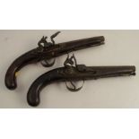 A pair of reproduction flint lock pistols, with brass barrels, length 12.5ins