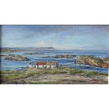 Wyn Appleford, Scottish Coastal Bothy, Signed, 20th/21st Century, Oil on Board, 66 x 35 cm, Framed