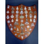 A Collection of British Army Cap Badges mounted on a wooden shield, 46cm high