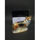 A Crown Derby Royal Windsor Corgi Paperweight, 81/950, boxed with COA