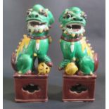 A Pair of Chinese Tin Glazed Foo Dogs, 26cm diam.