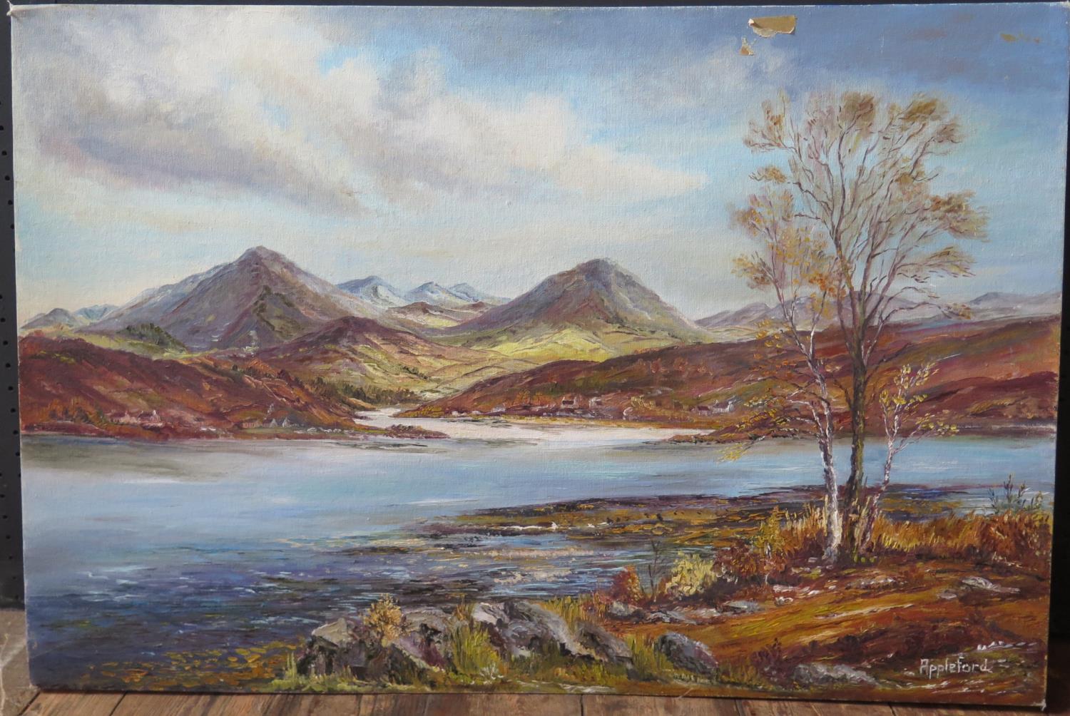 Wyn Appleford, Mountain and River Scene, Signed, 20th/21st Century, Oil on Canvas, 76 X 51cm,