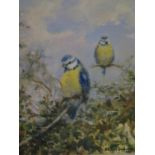 Robin Goodwin(1909 - 1997), Two Blue Tits 1991, Signed, Oil on Board, 22 x 18cm, Framed