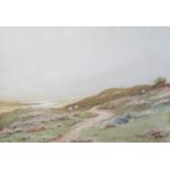 A. Willet (1857-1918), Haytor, Dartmoor, watercolour, 36x26cm, unframed