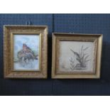 Bird with Chicks, initialled A.D, oil on glass, 19.5x14cm, framed and Victorian pen and ink study of