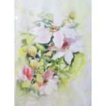 Suzanne Jones (b. 1938), Nelly Moser Clematis, watercolour, 35.5x47.5cm, framed & glazed