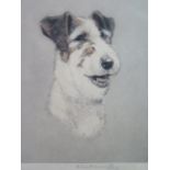 Alice Barnwell, Fox Terrier, tinted engraving, 27x19.5cm, mounted