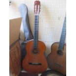 An Almeria Spanish Guitar with soft case