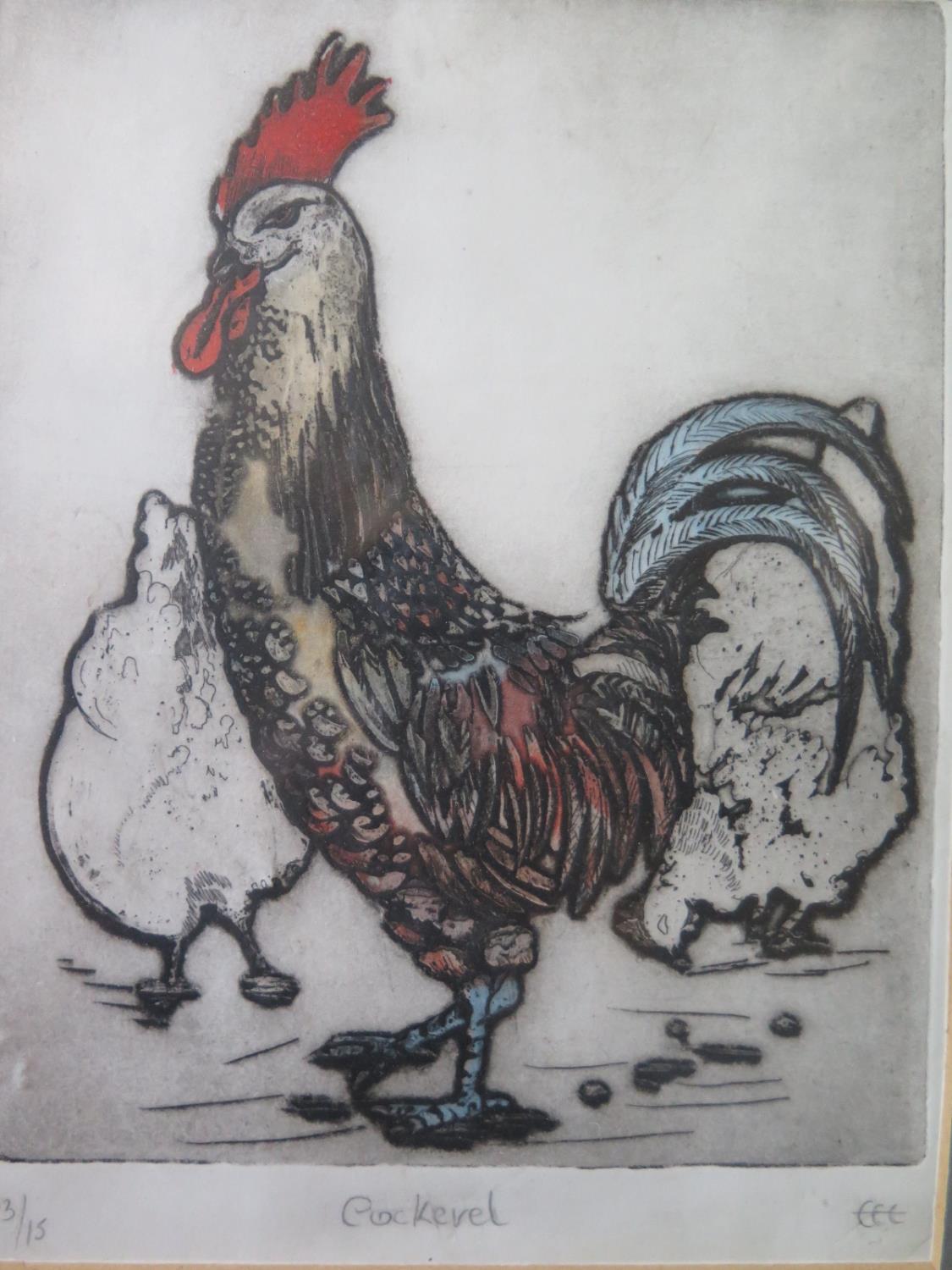 Ludlow, Brown Leghorn Cock, The Feathered World, watercolour, 22.5x16.5cm, framed & glazed and - Image 3 of 5