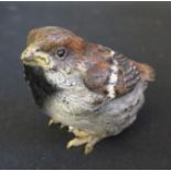 A Small Cold Painted Bronze Sparrow Chick, c. 47mm high