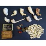 A Collection of Clay Pipe Bowls, cowrie shells and steel pen nibs